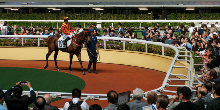 track-conditions-pre-race-areas